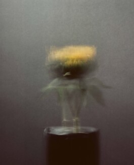 LUMEN X